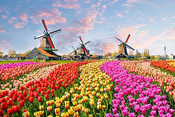 Zaanse Schans, Netherlands