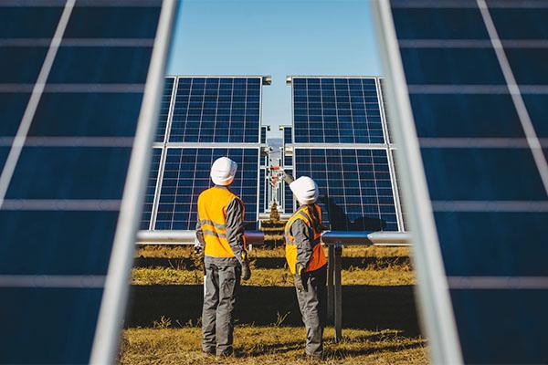 men standing in solar panel field 